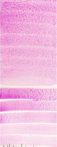 Miniatura 2 de DANIEL SMITH 284600030 - Tubo de pintura de acuarela extrafino, 0.5 fl oz, violeta cobalto
