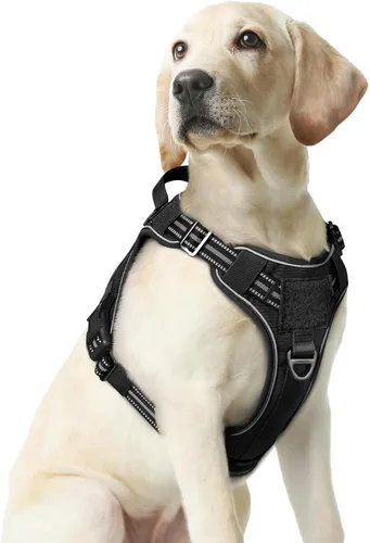 Miniatura 47 de rabbitgoo - Arnés para perros pequeño sin tirones, chaleco táctico de servicio con Molle y asa de control, arnés militar ajustable y reflectante