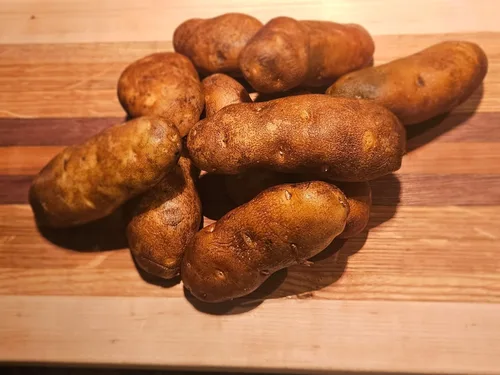 Idaho Russet - Semilla de patata certificada Patatas enteras reales cultivadas en Estados Unidos, sin OMG, listas para cultivar 3 libras