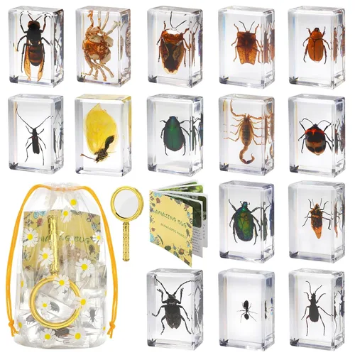 Juego de 15 especímenes de resina de insectos reales, varios especímenes de insectos reales en resina para educación científica, biología en el