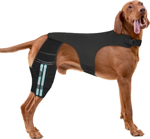 Rodillera ajustable para perro para recuperación de desgarro y artritis del ligamento cruzado anterior - Soporte doble para patas traseras con