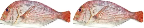Miniatura 8 de Wrapables Estuche de lápices con cremallera de cara de perro y gato (juego de 2)