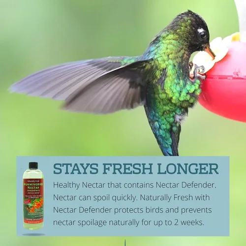 Miniatura 4 de Néctar de colibrí naturalmente fresco con defensor de néctar, concentrado de néctar de colibrí transparente, hace 64 onzas