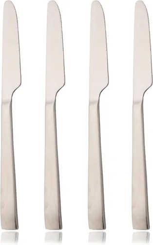 JASHII Juego de 4 cuchillos de cena de 9.05 pulgadas, acero inoxidable 304 chapado en titanio, cuchillos de mesa de plata mate, esparcidor de