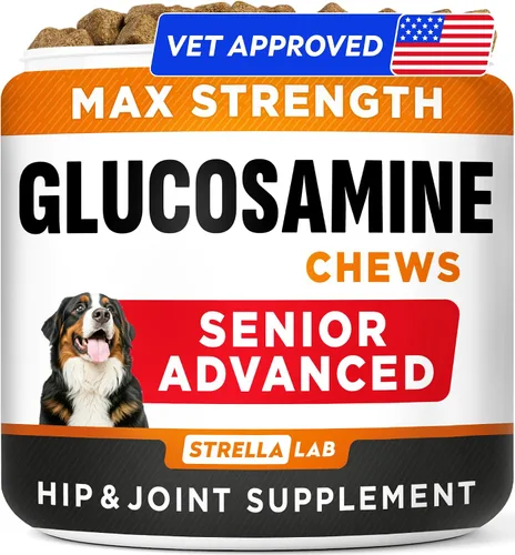 Miniatura 13 de STRELLALAB Suplemento avanzado de glucosamina para cadera y articulaciones para perros mayores, mejillón y colágeno de labios verdes, alivio