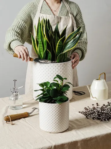 Miniatura 2 de LE TAUCI Macetas de cerámica para interiores, macetas de 10+8+6 pulgadas para plantas de interior, macetas para flores con puntos elevados