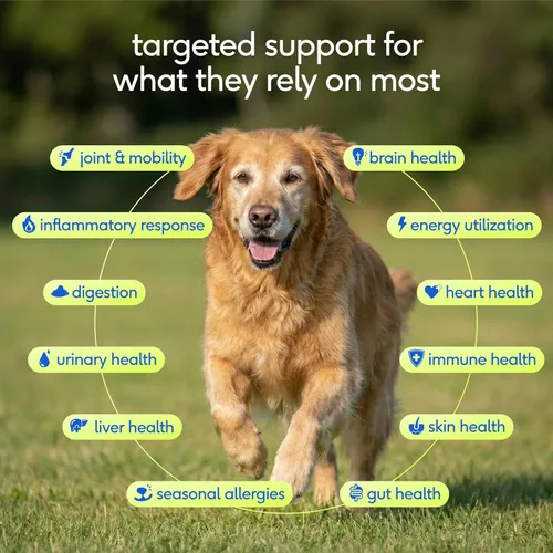 Miniatura 2 de Native Pet Vitaminas y suplementos diarios para perros mayores – Polvo multivitamínico 12 en 1 para perros mayores – Apoya la movilidad