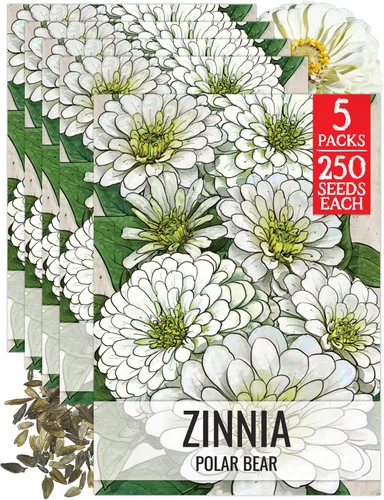 Miniatura 45 de Seed Needs California Giants - Semillas de zinnia – 250 semillas tradicionales para plantar Zinnia elegans – Cultiva flores anuales polinizadas