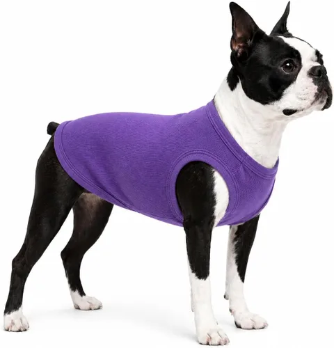 Miniatura 25 de Lovelonglong Ropa para mascotas de verano 2019, ropa para perro, camisetas en blanco, camisetas acanaladas, chalecos de hilo superior para perros