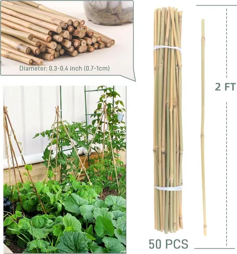 Miniatura 5 de 50 piezas / estacas de bambú de 2 pies para plantas de interior y exterior, palos de soporte para plantas de jardín, postes para tomate, verduras