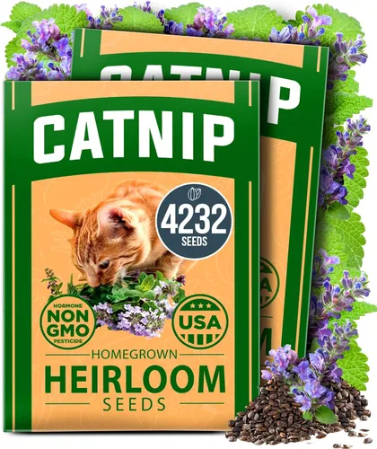 Miniatura 90 de HOME GROWN Mezcla de semillas germinantes de primera calidad, microgreens 118,200 semillas para cultivo en interiores, brócoli, alfalfa, rábano