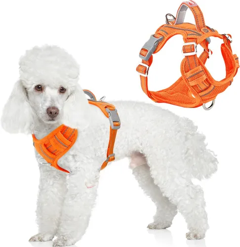 Miniatura 30 de BARKBAY Arnés para perro sin tirones con bolsillo para etiqueta de identificación, resistente, reflectante, fácil control para perros grandes