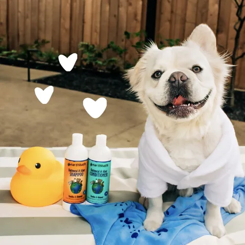Miniatura 5 de earthbath, Champú y acondicionador de avena y aloe para perros, champú de avena para perros, picazón, alivio de la piel seca, lavado de perros