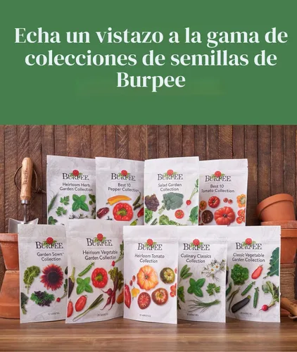 Miniatura 7 de Burpee Culinary Classics Garden Collection - 10 paquetes de cebollino sin OGM, cilantro, albahaca, salvia, tomillo, eneldo, perejil, manzanilla