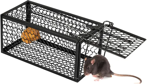 Qualirey 1 Pieza Trampa Humana para Ratas Ardilla Listada Roedor Ratón Ardilla Trampa de 9.1 x 4.5 x 4.5 Pulgadas Animales Vivos Ratón Topillos