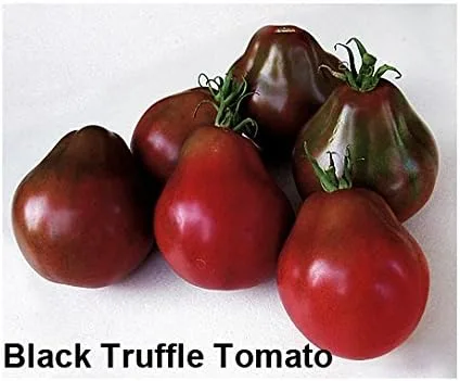 Miniatura 7 de Mixed Seeds - 30 semillas de tomate negro, mezcla de 9 variedades, reliquia sin OMG, Black Prince, Cherokee Purple, Black Cherry de EE. UU. Solanum