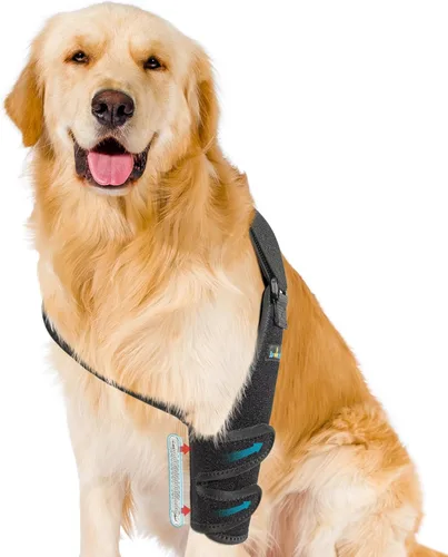 Soporte de hombro y codo para perro, alivio de higroma, artritis y displasia, evita callos y úlceras por presión, ayuda a la curación de heridas
