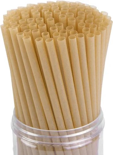HANSGO - Pajitas de caña de azúcar, 200 pajitas desechables para bebidas frías y calientes, café, cóctel, jugo, ideal para fiestas en la playa, 200