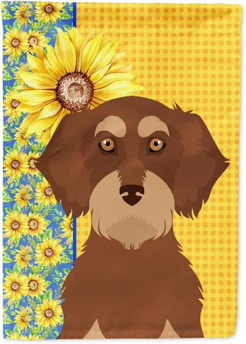 Miniatura 64 de Caroline's Treasures WDK5331CHF - Bandera de verano con diseño de girasoles rojos y blancos, manga grande, para porche, para colgar en la pared