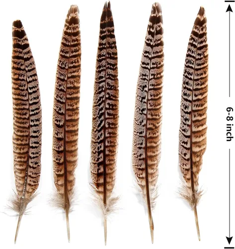 Miniatura 2 de THARAHT 24 plumas de faisán femenino, plumas naturales de 6 a 8 pulgadas, 5.9-7.9 in para manualidades, hogar, boda, fiesta, actuación, decoración