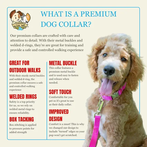 Miniatura 5 de Country Brook Petz – Collar de nailon premium con hebilla de metal para perro para razas pequeñas, medianas y grandes – Más de 10 colores geniales