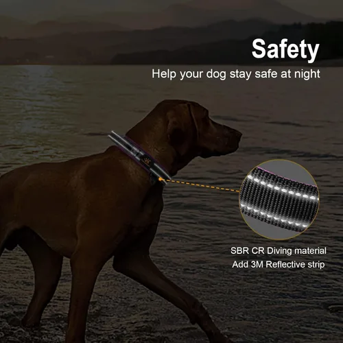 Miniatura 5 de DAGANXI Collar para perro, ajustable, de neopreno suave, acolchado, transpirable, tira reflectante, collar de nailon para perros pequeños, medianos