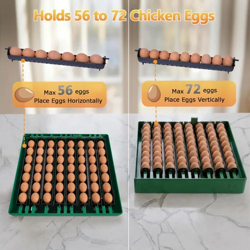 Miniatura 2 de Incubadora de huevos para huevos de gallina, capacidad máxima de 72 huevos con girador automático de huevos y control de humedad, incubadora