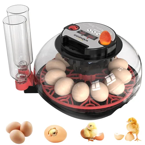 Incubadora de 12 huevos para incubar huevos de pollo, codorniz/pato, giro automático, control digital de humedad/temperatura, vela LED, recarga Onyx