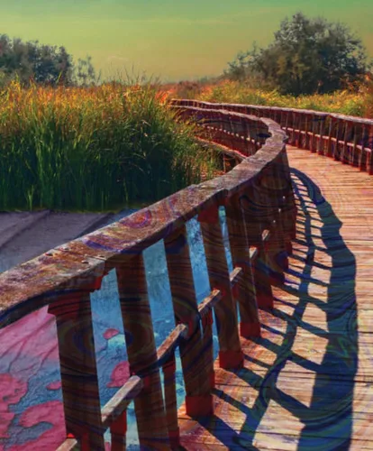 Miniatura 4 de Lucid Eye Cartel de estanque de fusión, Póster de puente psicodélico, Arte de pared de paisaje trippy, Póster colorido, Diseño de atardecer de neón