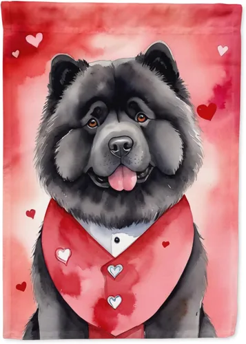Miniatura 199 de Caroline's Treasures DAC5292CHF - Bandera de Border Collie My Valentine House para porche, grande, con manga para porche, para colgar en la pared