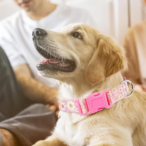 Miniatura 2 de Collares de Perro para Niñas con Patrones de Margaritas, Lindo Collar Rosa para Perras, Collares Ajustables Blandos y Duraderos para Perros XS 12