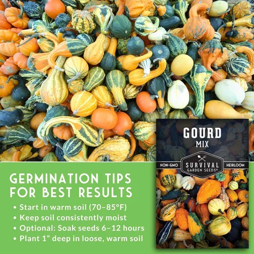 Miniatura 6 de Survival Garden Seeds - Mezcla de semillas de calabaza para plantar - 1 paquete con instrucciones para plantar y cultivar calabazas ornamentales
