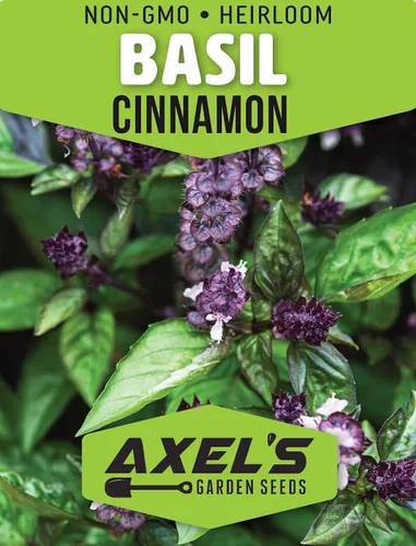 Miniatura 2 de Semillas de albahaca y canela para plantar, 1/4 onza más de 4,000 semillas de hierbas tradicionales sin OMG