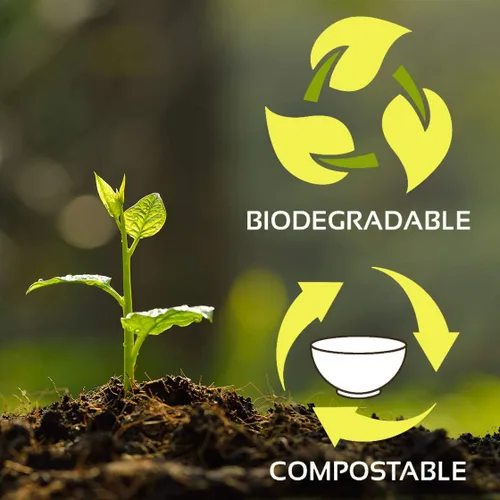 Miniatura 2 de Placa de fibra vegetal natural 100% compostable, 6 pulgadas, caja de 1000