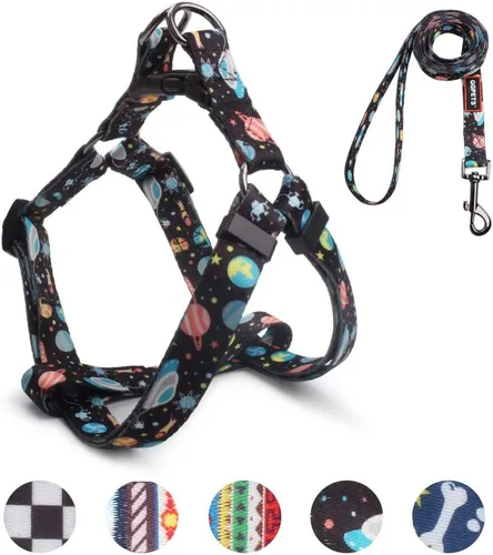 Miniatura 20 de QQPETS Juego de correa de arnés para perro, ajustable, resistente, sin tirones, arnés halter para perros de razas pequeñas, medianas y grandes, clip