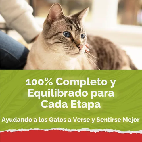 Miniatura 7 de Purina Cat Chow Naturals - Alimento seco para gatos con vitaminas, minerales y nutrientes añadidos, Naturals Original - Bolsa de 13 libras