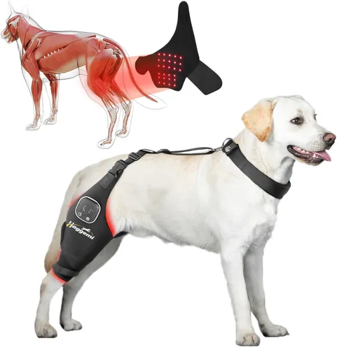 Miniatura 9 de Rodillera para perros – Soporte para problemas de ligamento cruzado anterior y articulaciones de rodilla con terapia de luz infrarroja roja, alivio