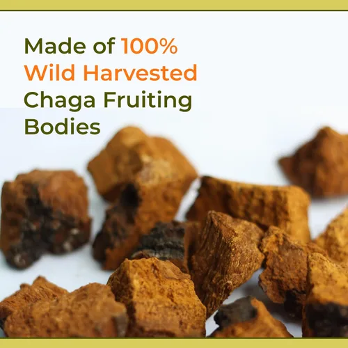 Miniatura 7 de Naturealm Chaga - Tintura de extracto de hongos - Gotas líquidas orgánicas de doble extracto - Suplemento herbario antioxidante - Inflamación, apoyo