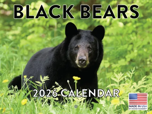 Miniatura 48 de Calendario alpaca 2026, calendario mensual de pared de 12 meses Hecho en Estados Unidos.