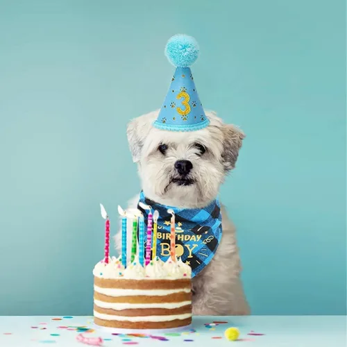 Miniatura 9 de Mihachi Suministros para fiestas de cumpleaños para perros, bandana y sombrero con número, bufanda triangular para regalo de decoración, perros
