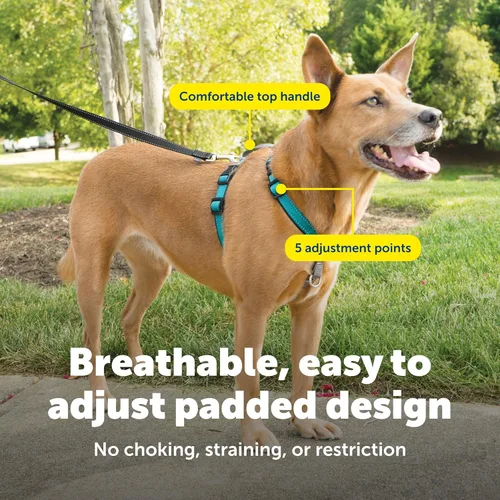 Miniatura 4 de PetSafe Arnés 3 en 1 – Cómodo arnés de pecho para perro fácil de caminar con accesorio de correa frontal para reducir tirones, asfixia y arcadas