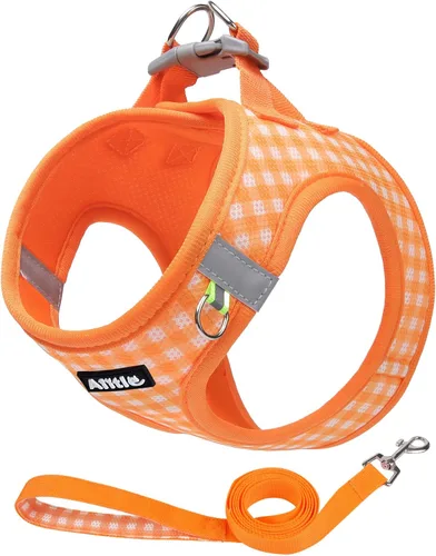 Miniatura 11 de AIITLE Juego de arnés y correa para perro, sin tirones, arnés de malla suave reflectante para cachorros y gatos extra pequeños, arnés de chaleco a