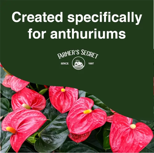 Miniatura 3 de Farmer's Secret Fertilizante líquido de anturio para plantas (8 onzas), súper concentrado, promueve el crecimiento y la floración, proporción 4:15:12
