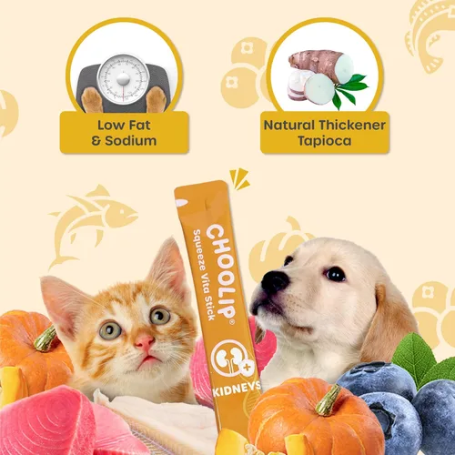 Miniatura 5 de Choolip Squeeze Vita Stick - Golosinas para lamer para gatos y perros, 49 unidades de atún y abadejo con calabaza, arándano y omega-3, caja con 7