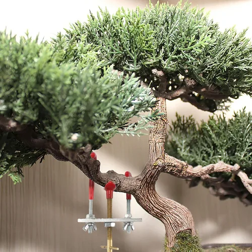 Miniatura 6 de BambooMN Bonsai 2 Branch Benders