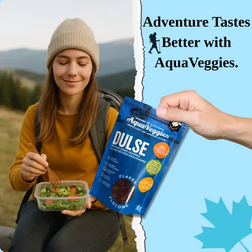 Miniatura 3 de Aqua Veggies Organic Atlantic Dulse Flakes grandes de 2 onzas, cosechadas a mano, secado al sol, Bahía de Fundy, excelente fuente de vitaminas B6