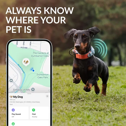 Miniatura 4 de CollarDirect Airtag - Collar de perro reflectante de nailon y neopreno para Apple Air Tag para perros grandes, medianos y pequeños