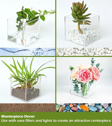 Miniatura 6 de Kamehame Jarrón de acrílico transparente, jarrón de 6 x 6 x 6 pulgadas de ancho para centros de mesa, macetas para suculentas, jarrones de flores