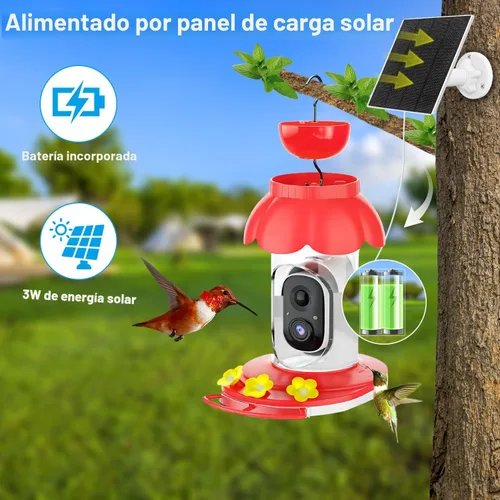 Miniatura 8 de Comedero de colibríes con cámara, cámara inteligente alimentadora de colibríes alimentada por energía solar con identificación IA, captura