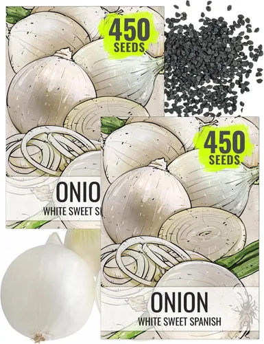 Miniatura 14 de Seed Needs Semillas de cebolla para plantar cebollas de día corto rojo burdeos, semillas de verduras sin tratar y sin OMG para plantar un jardín